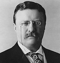 Theodore Roosevelt presidente
