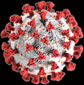 Primer caso de coronavirus